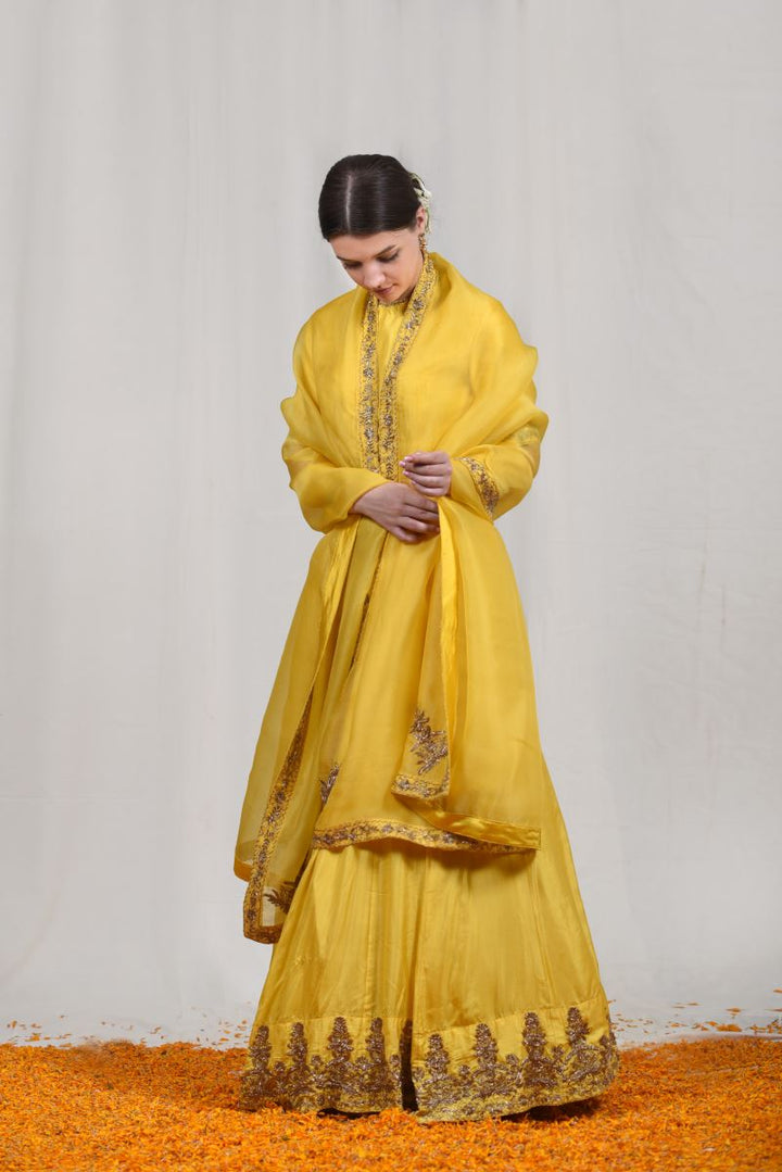 Bahaar lehenga set-2