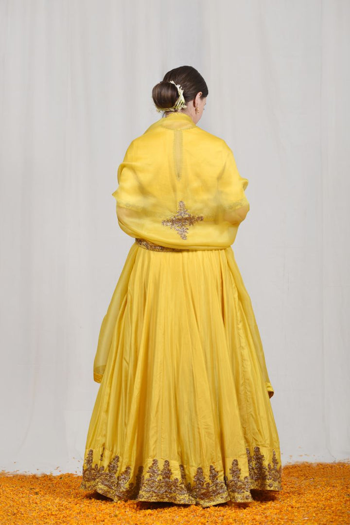 Bahaar lehenga set-2