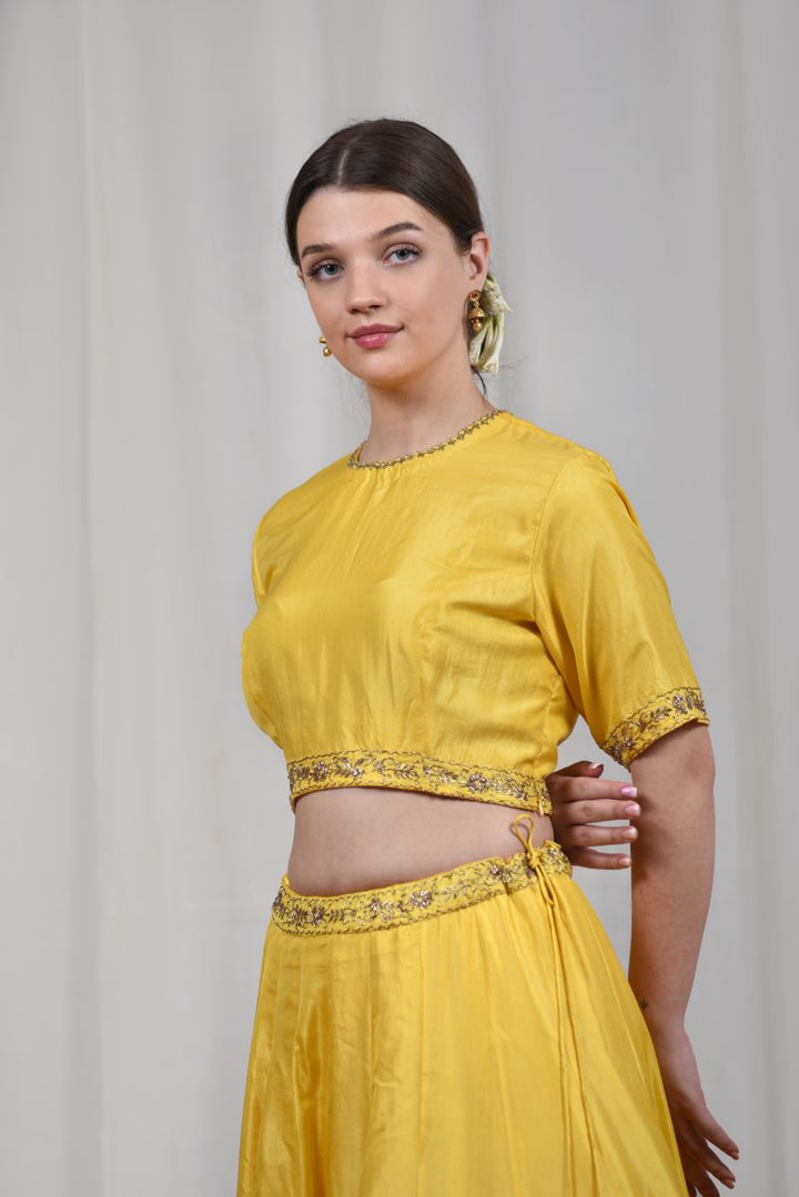 Bahaar lehenga set-2
