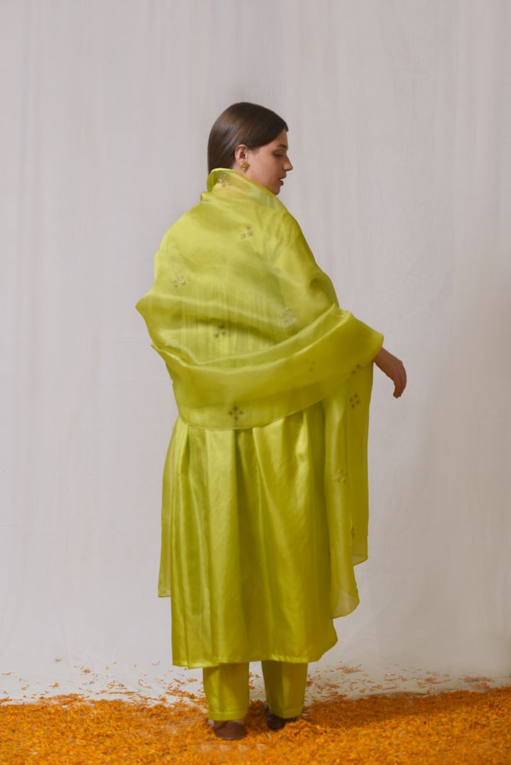 Bahaar tunic set-15