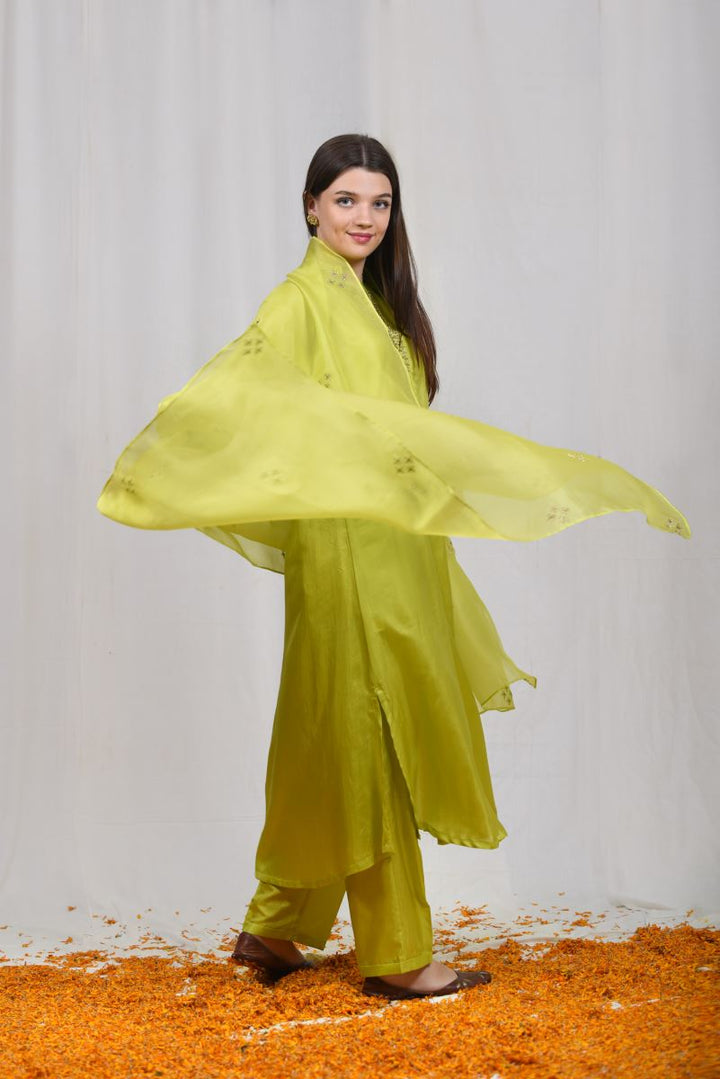 Bahaar tunic set-1