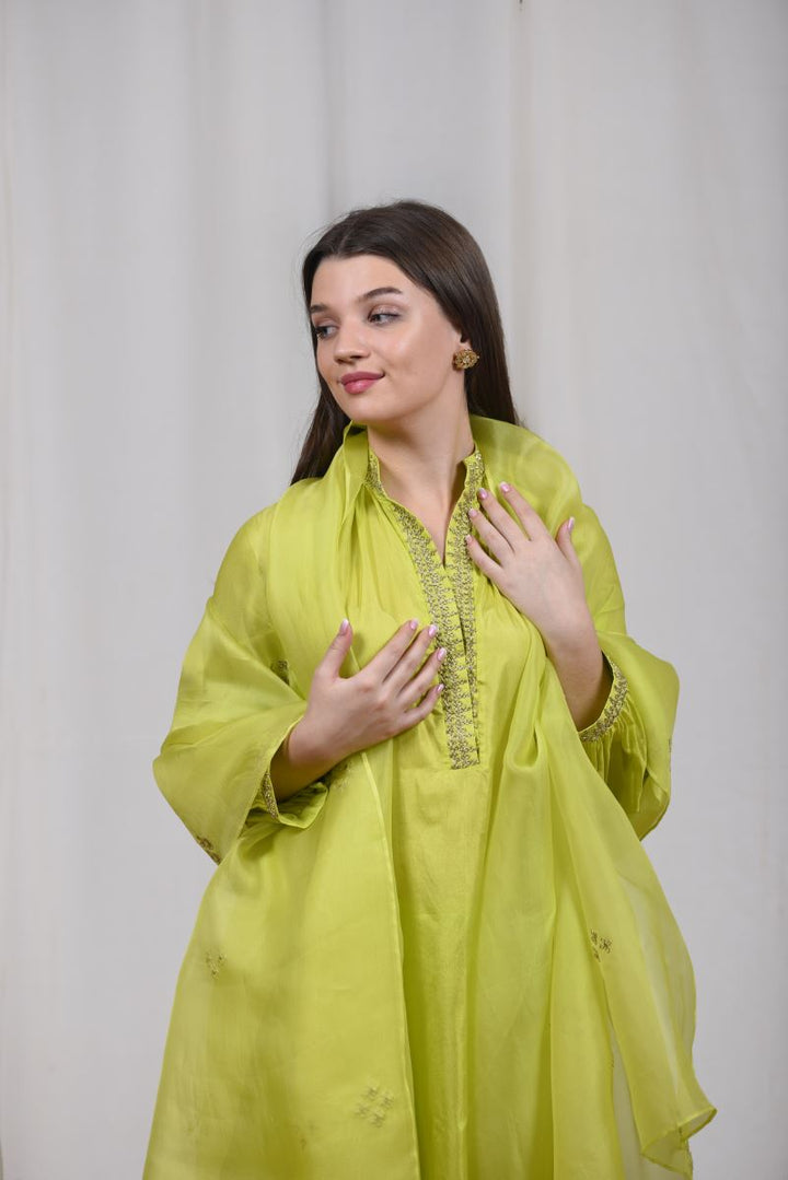 Bahaar tunic set-1