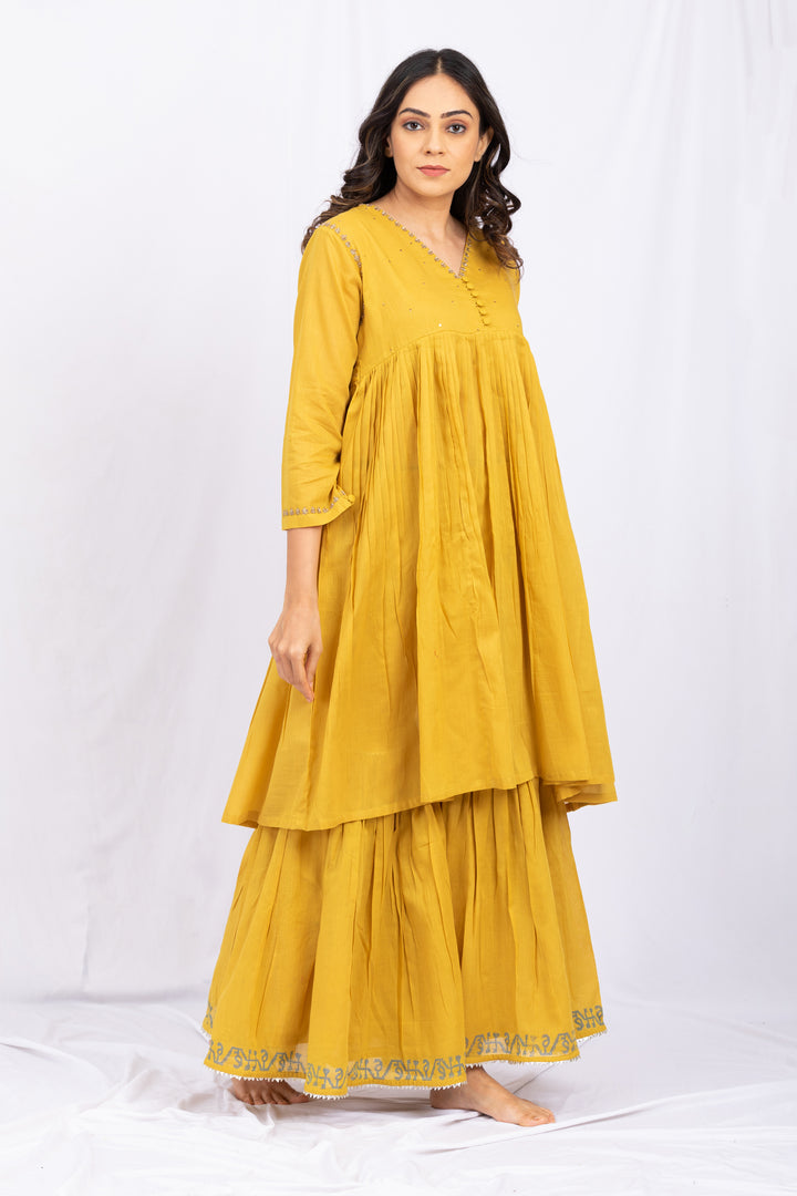 PEELO AMBI SHARARA SET