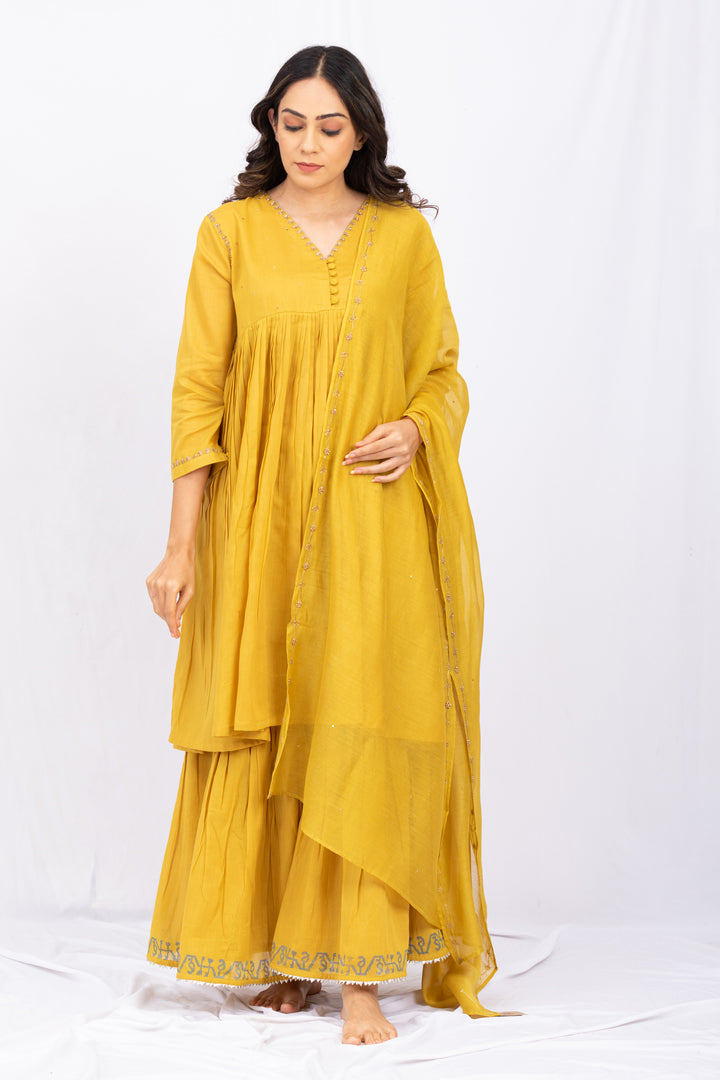 PEELO AMBI SHARARA SET
