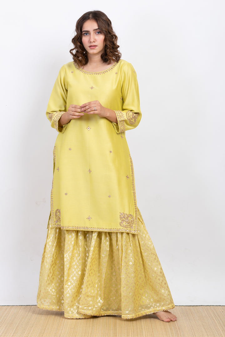 ANUH EMBROIDERED SHARARA SET