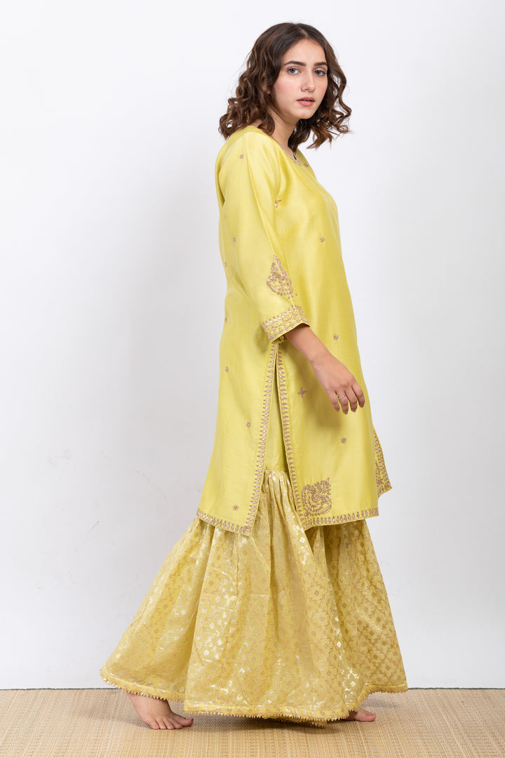 ANUH EMBROIDERED SHARARA SET