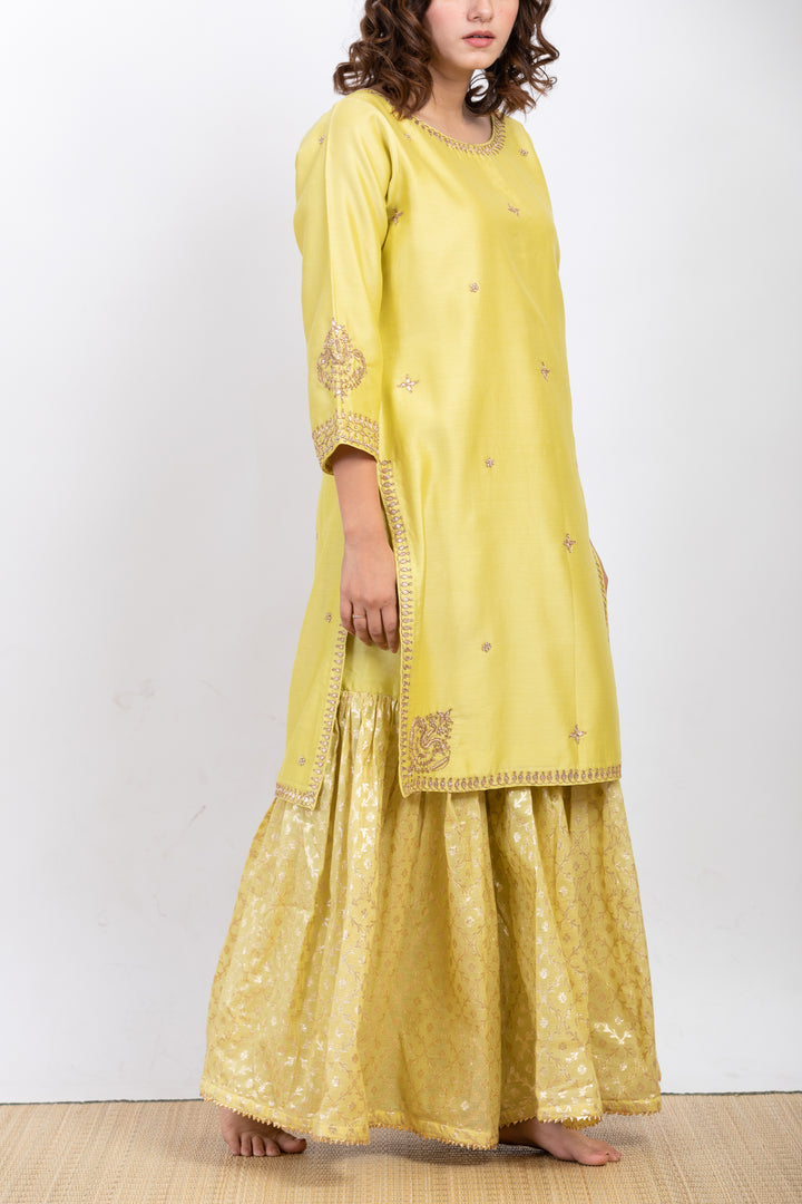 ANUH EMBROIDERED SHARARA SET