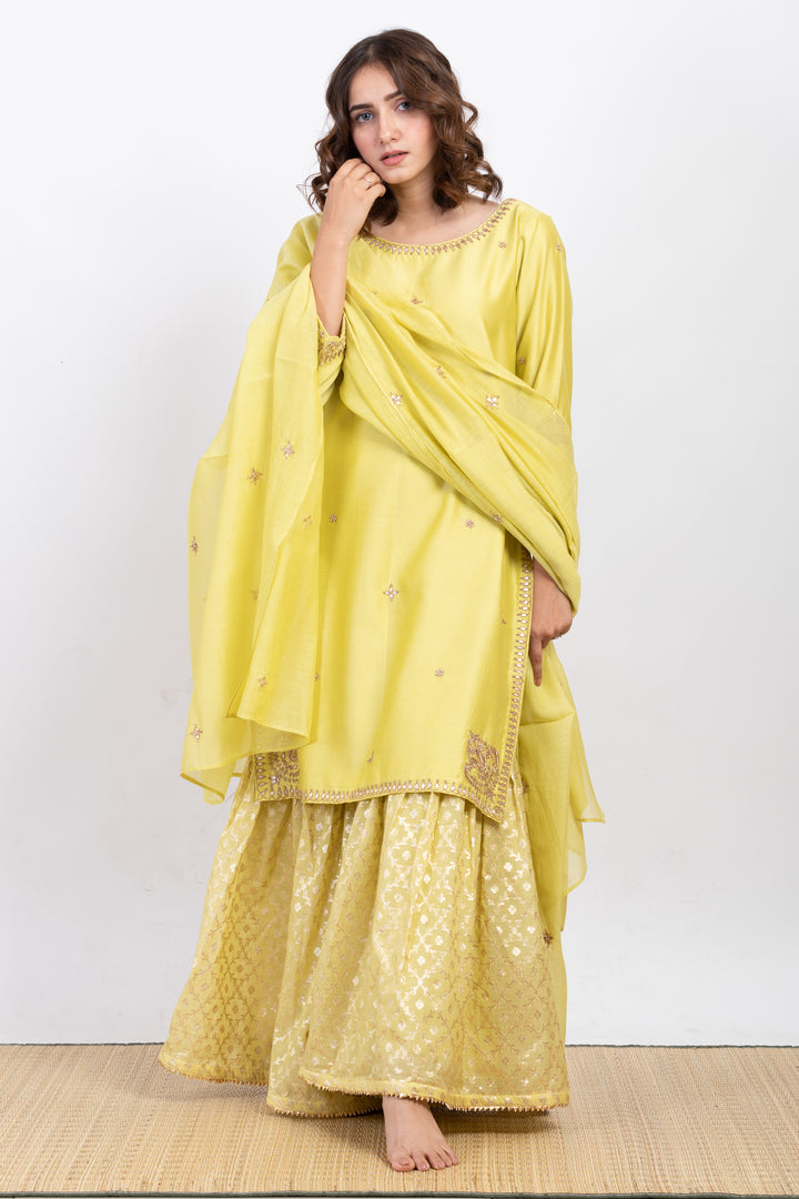 ANUH EMBROIDERED SHARARA SET