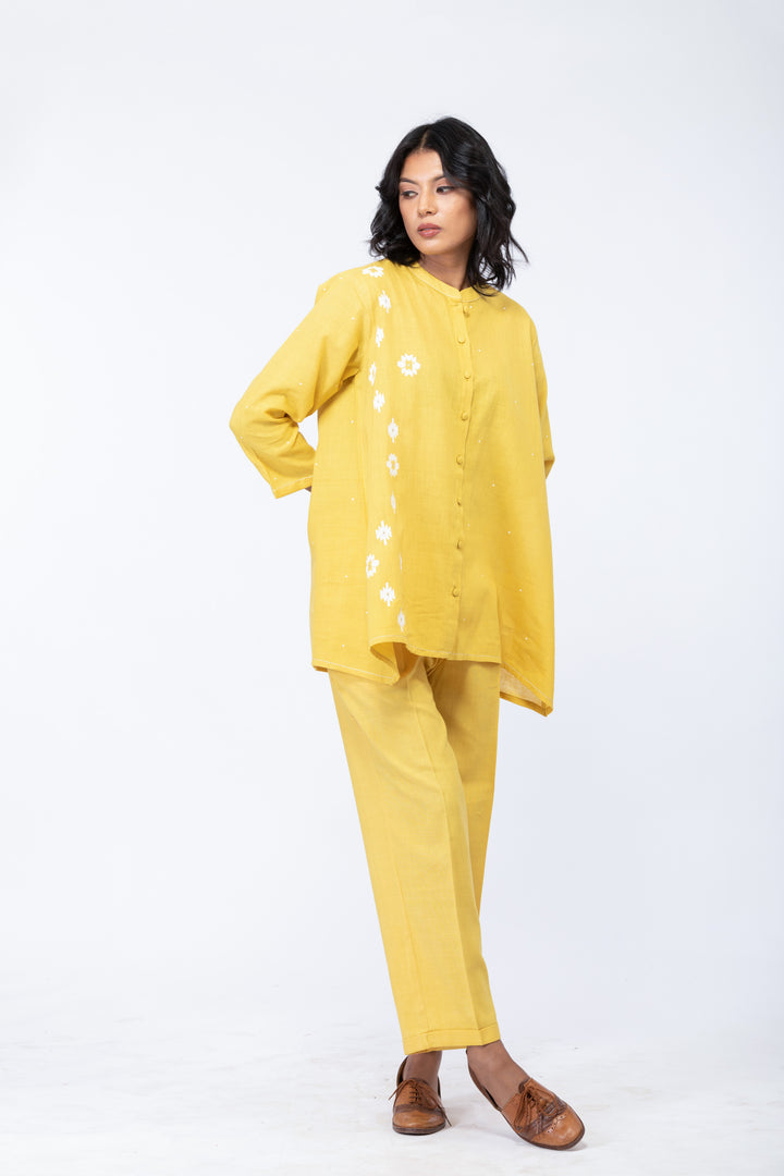 مجموعة ديزي أمالتاس المنسقة