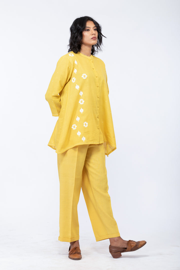 مجموعة ديزي أمالتاس المنسقة