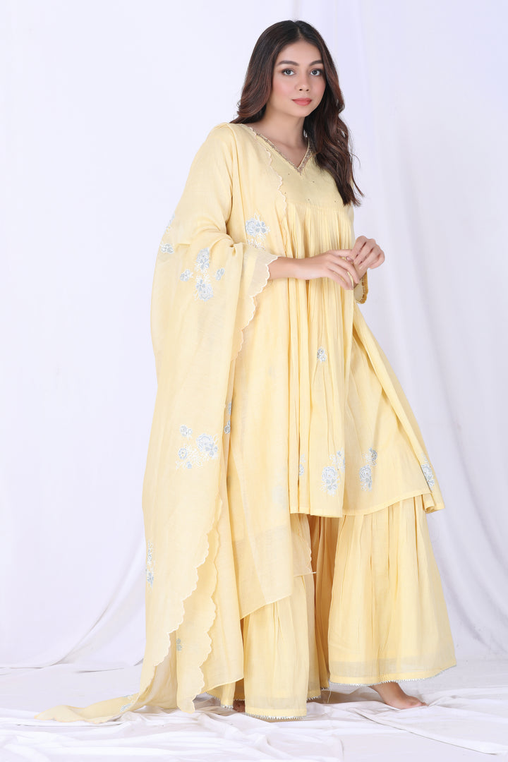 AMBI SHARARA SET