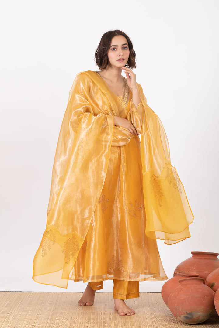 AMALTAAS GULAAL TISSUE SILK KURTA SET