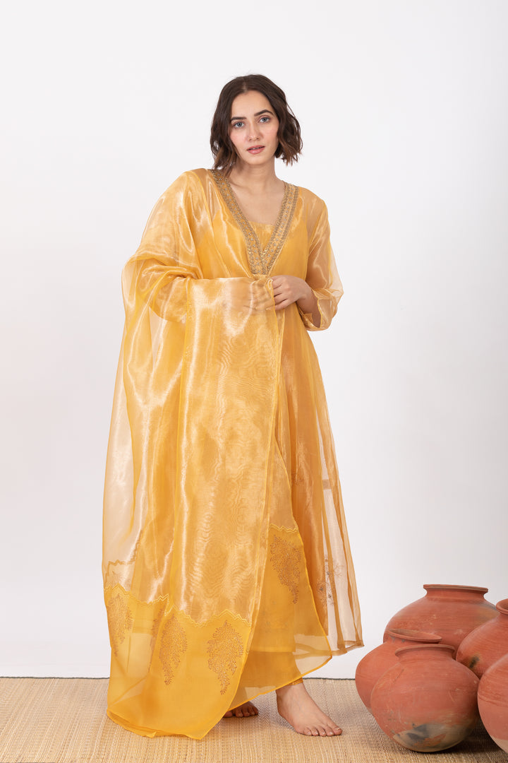 AMALTAAS GULAAL TISSUE SILK KURTA SET