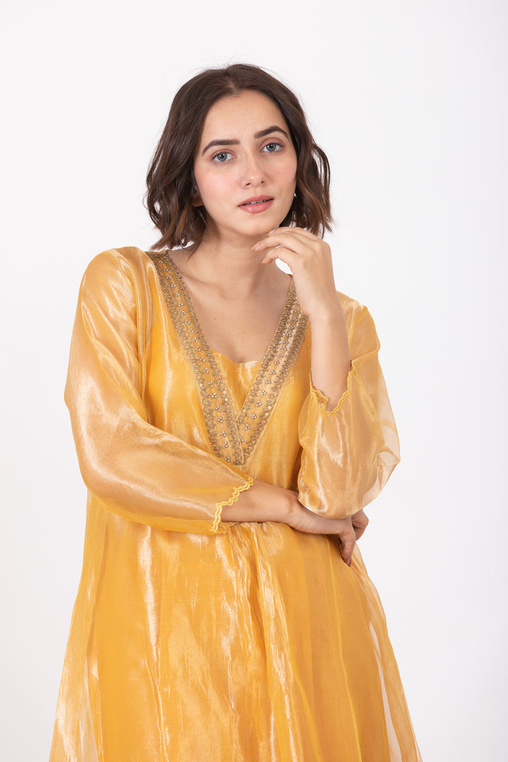 AMALTAAS GULAAL TISSUE SILK KURTA SET