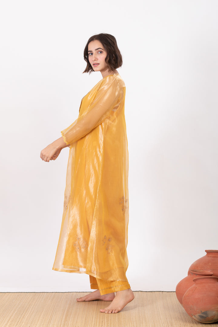 AMALTAAS GULAAL TISSUE SILK KURTA SET