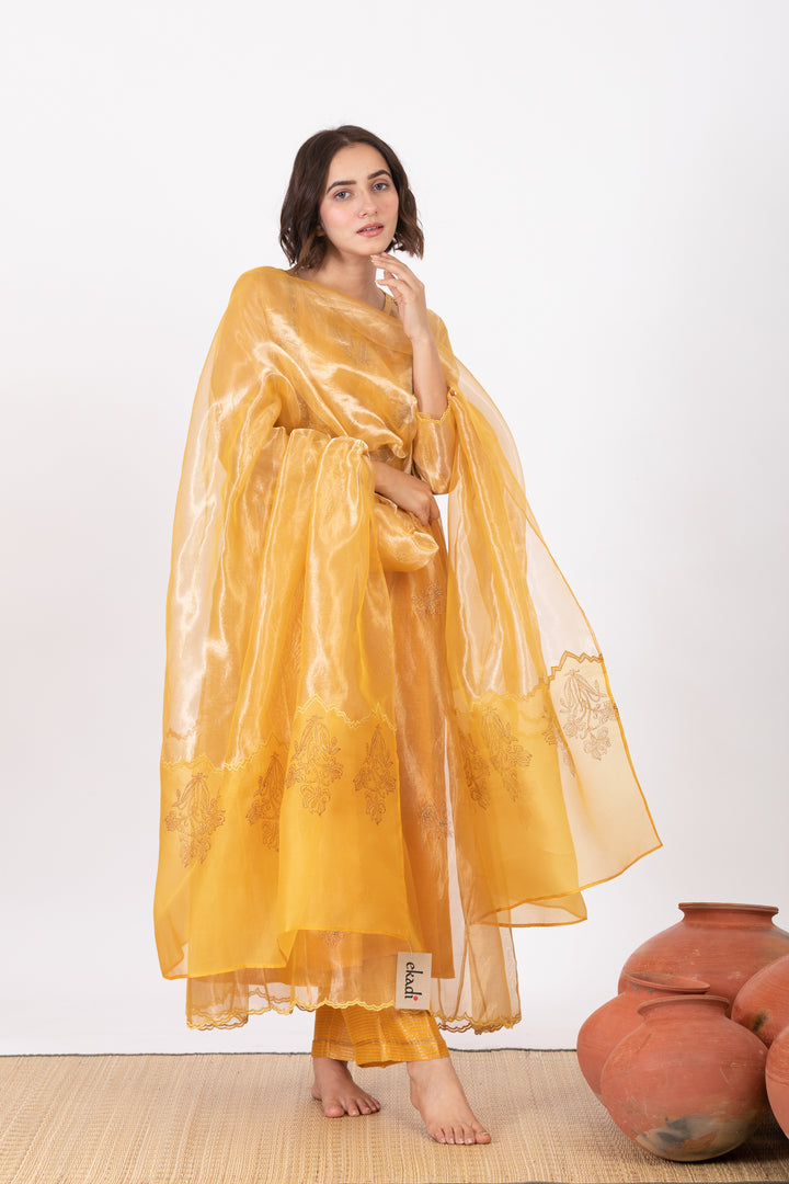 AMALTAAS PAAKHI TISSUE SILK KURTA SET