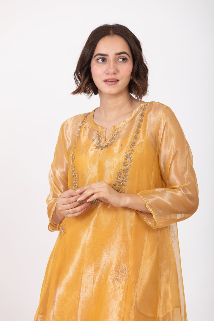 AMALTAAS PAAKHI TISSUE SILK KURTA SET